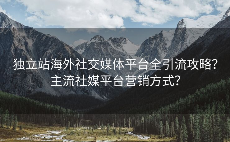 独立站海外社交媒体平台全引流攻略？主流社媒平台营销方式？