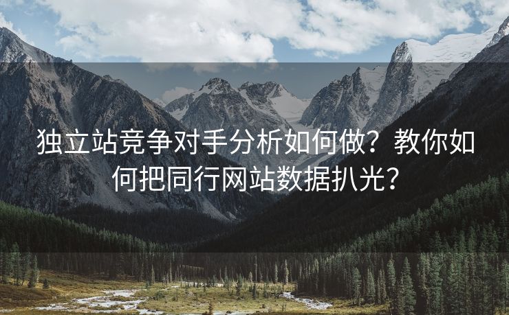 独立站竞争对手分析如何做？教你如何把同行网站数据扒光？