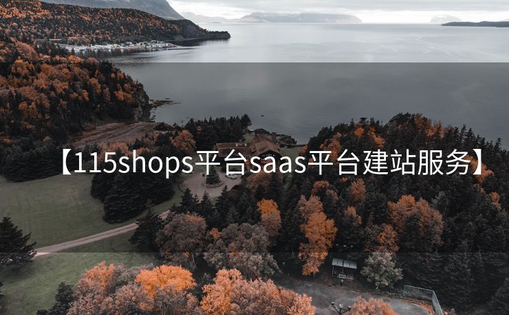 【115shops平台saas平台建站服务】