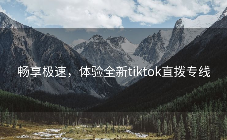 畅享极速，体验全新tiktok直拨专线