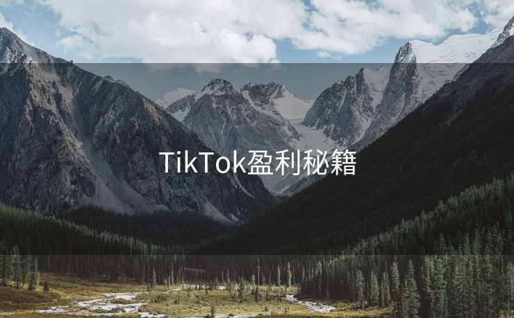 TikTok盈利秘籍