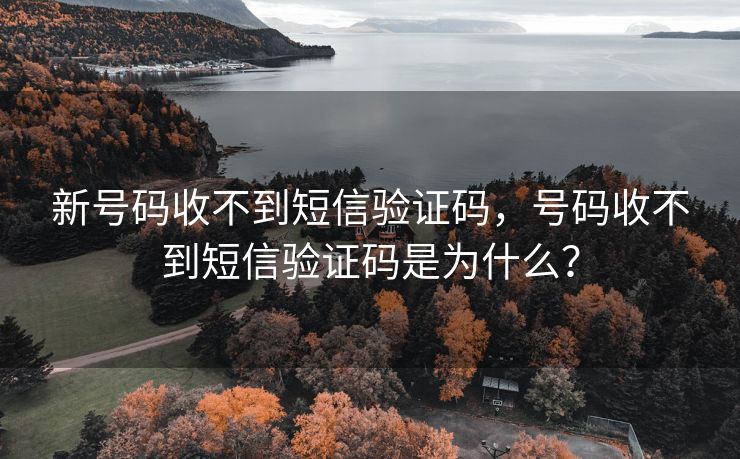 新号码收不到短信验证码，号码收不到短信验证码是为什么？