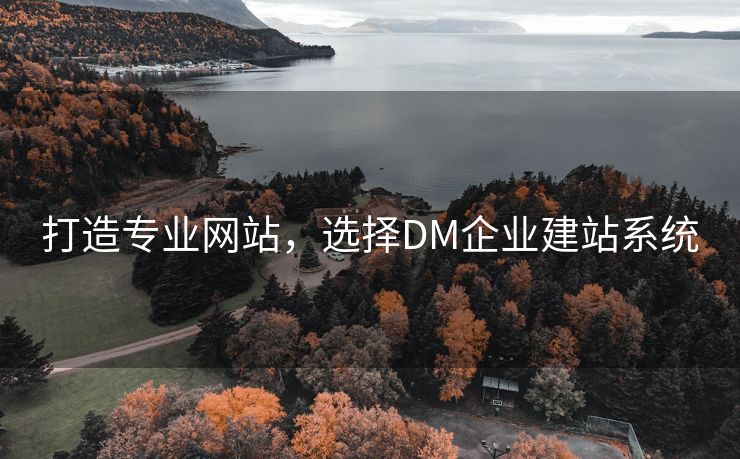 打造专业网站，选择DM企业建站系统