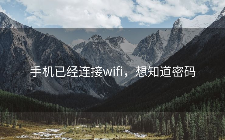 手机已经连接wifi，想知道密码