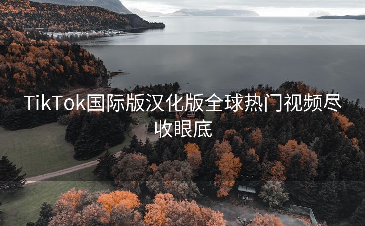 TikTok国际版汉化版全球热门视频尽收眼底