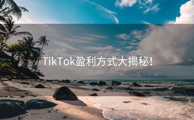 TikTok盈利方式大揭秘！