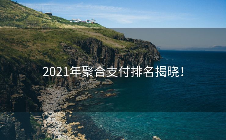 2021年聚合支付排名揭晓！