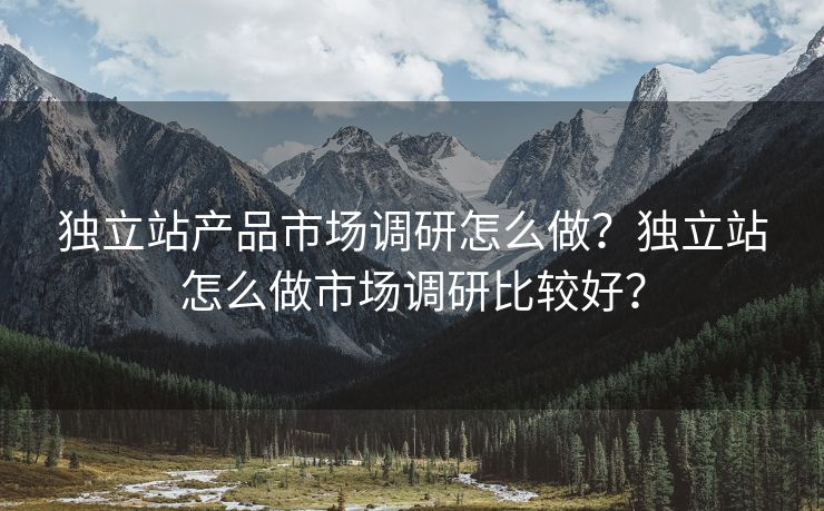 独立站产品市场调研怎么做？独立站怎么做市场调研比较好？