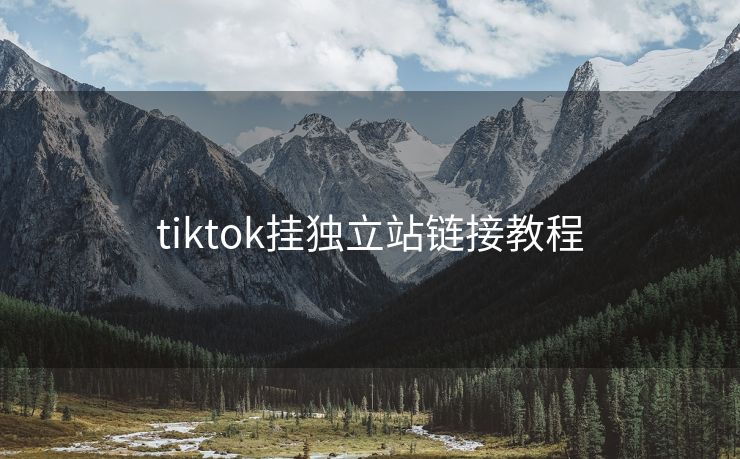 tiktok挂独立站链接教程