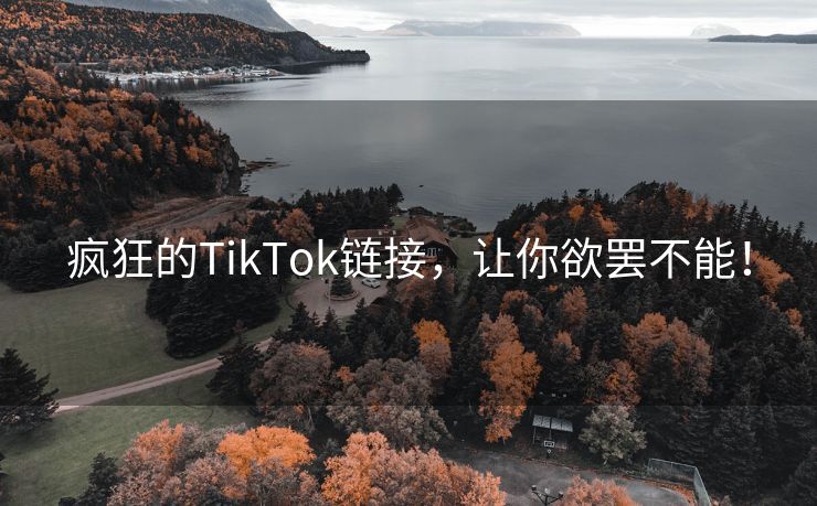 疯狂的TikTok链接，让你欲罢不能！