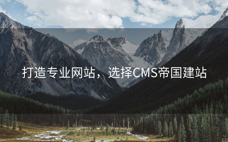 打造专业网站，选择CMS帝国建站