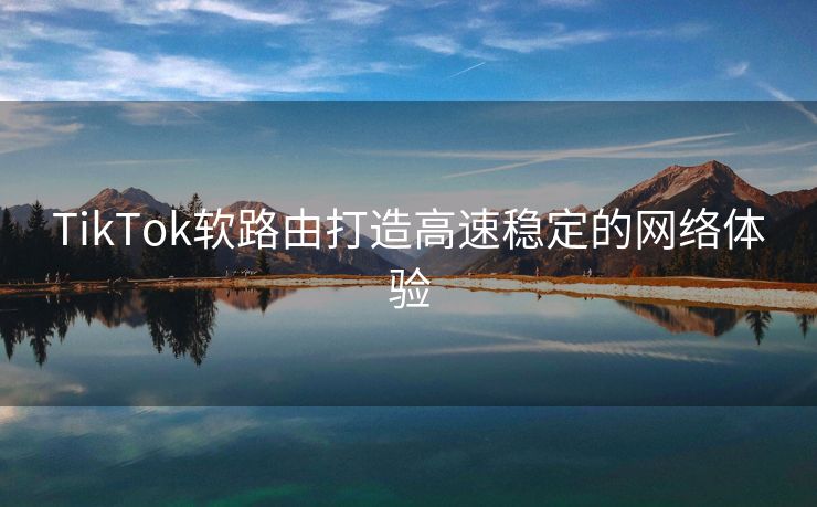 TikTok软路由打造高速稳定的网络体验