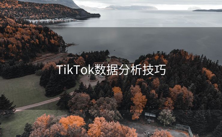 TikTok数据分析技巧