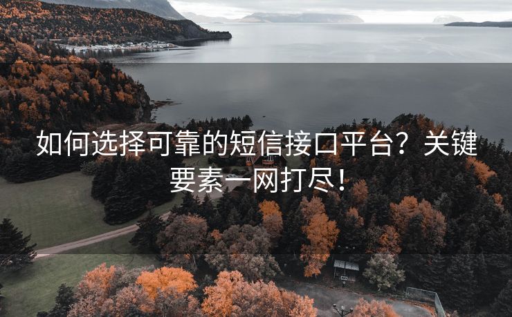 如何选择可靠的短信接口平台？关键要素一网打尽！