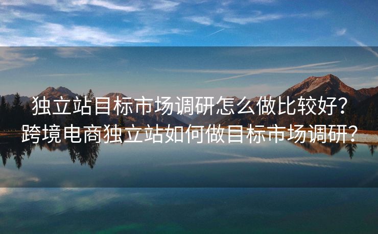 独立站目标市场调研怎么做比较好？跨境电商独立站如何做目标市场调研？