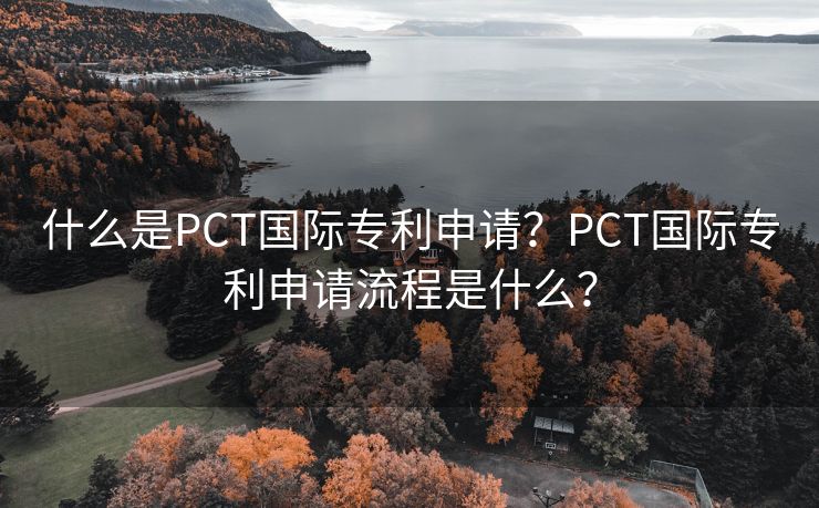 什么是PCT国际专利申请？PCT国际专利申请流程是什么？