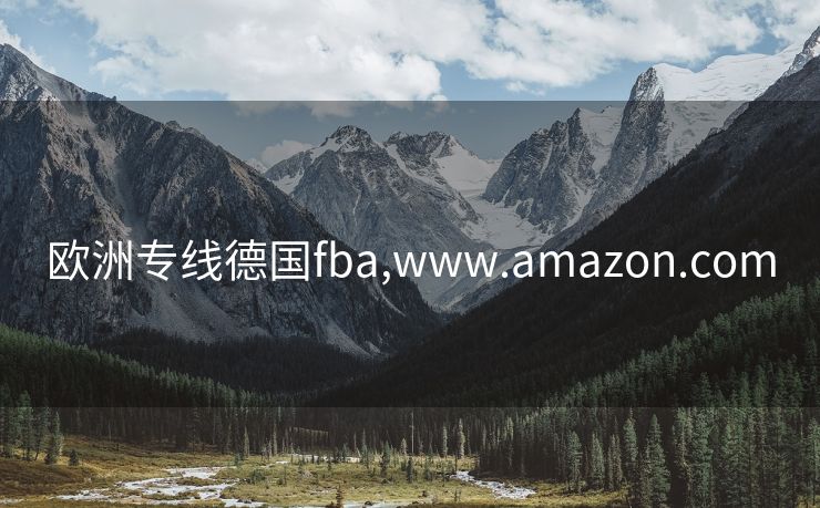 欧洲专线德国fba,www.amazon.com