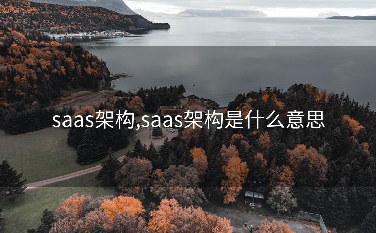 saas架构,saas架构是什么意思