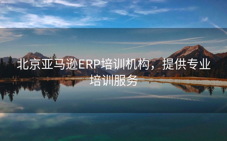 北京亚马逊ERP培训机构，提供专业培训服务