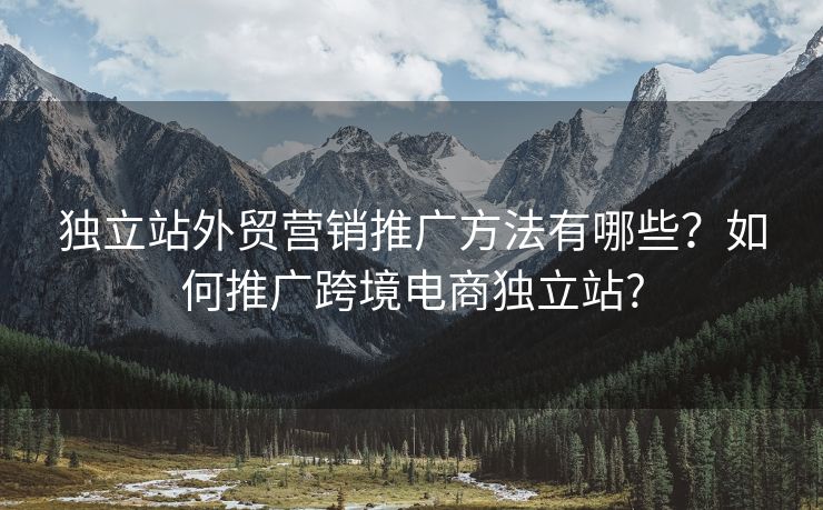 独立站外贸营销推广方法有哪些？如何推广跨境电商独立站?