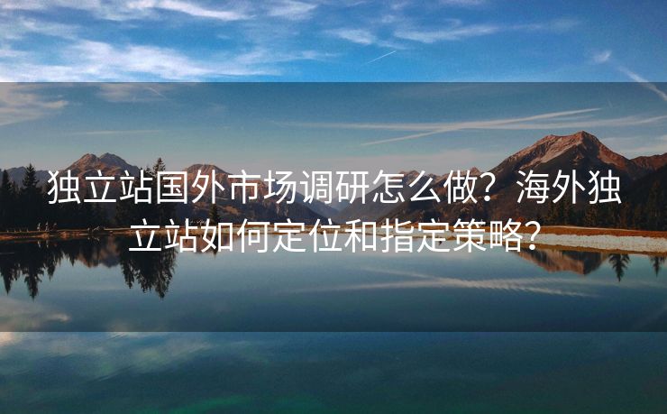 独立站国外市场调研怎么做？海外独立站如何定位和指定策略？