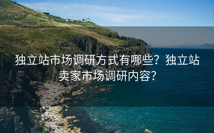 独立站市场调研方式有哪些？独立站卖家市场调研内容？