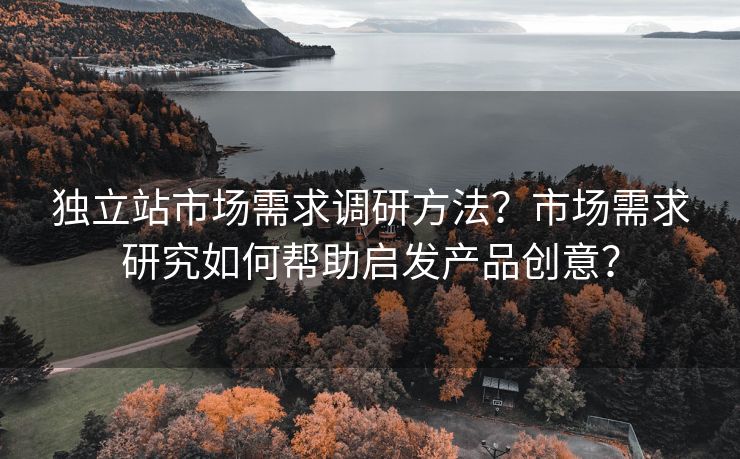 独立站市场需求调研方法？市场需求研究如何帮助启发产品创意？