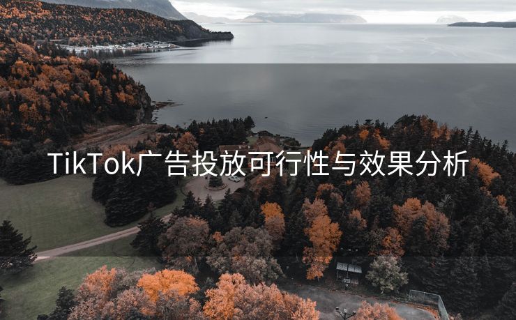 TikTok广告投放可行性与效果分析