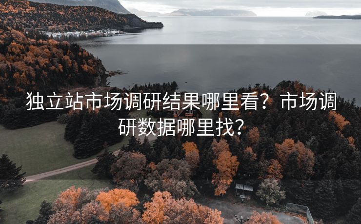 独立站市场调研结果哪里看？市场调研数据哪里找？