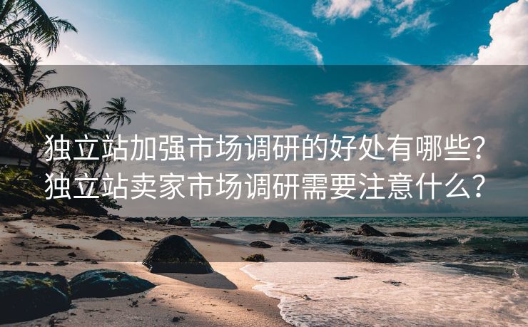 独立站加强市场调研的好处有哪些？独立站卖家市场调研需要注意什么？