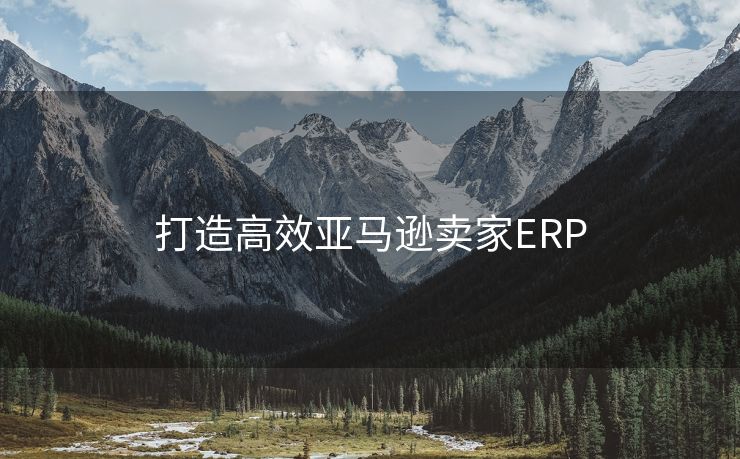 打造高效亚马逊卖家ERP