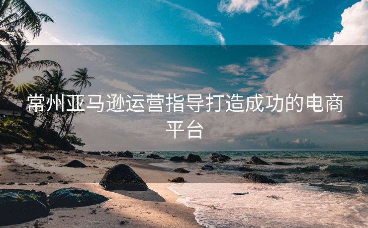 常州亚马逊运营指导打造成功的电商平台