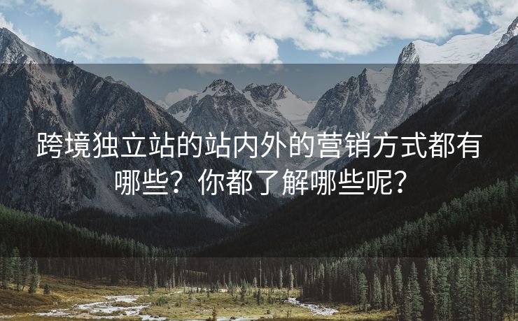 跨境独立站的站内外的营销方式都有哪些？你都了解哪些呢？