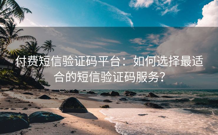 付费短信验证码平台：如何选择最适合的短信验证码服务？