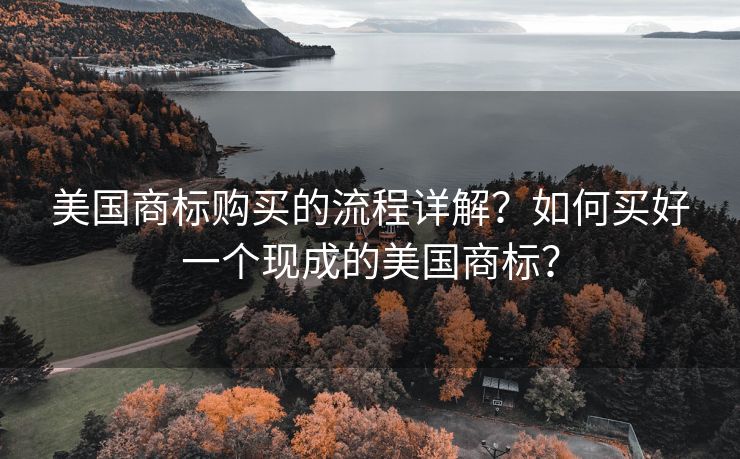 美国商标购买的流程详解？如何买好一个现成的美国商标？