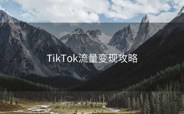 TikTok流量变现攻略