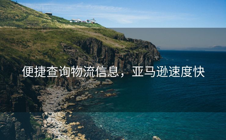 便捷查询物流信息，亚马逊速度快