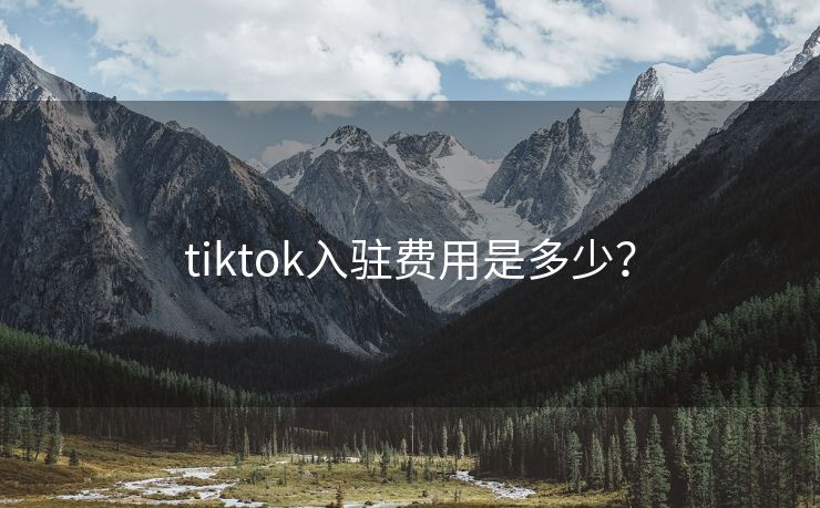 tiktok入驻费用是多少？