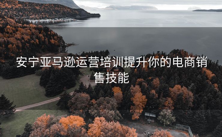 安宁亚马逊运营培训提升你的电商销售技能