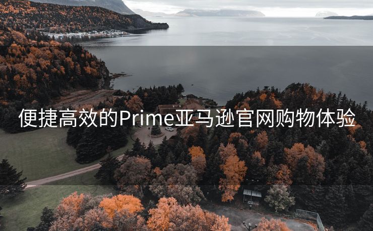 便捷高效的Prime亚马逊官网购物体验