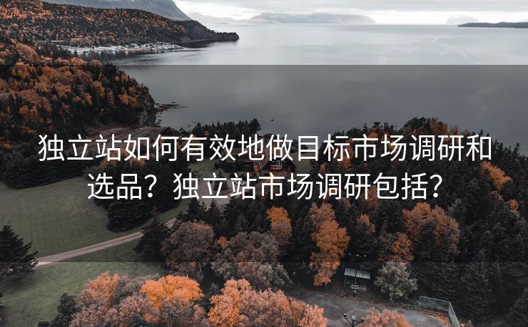 独立站如何有效地做目标市场调研和选品？独立站市场调研包括？