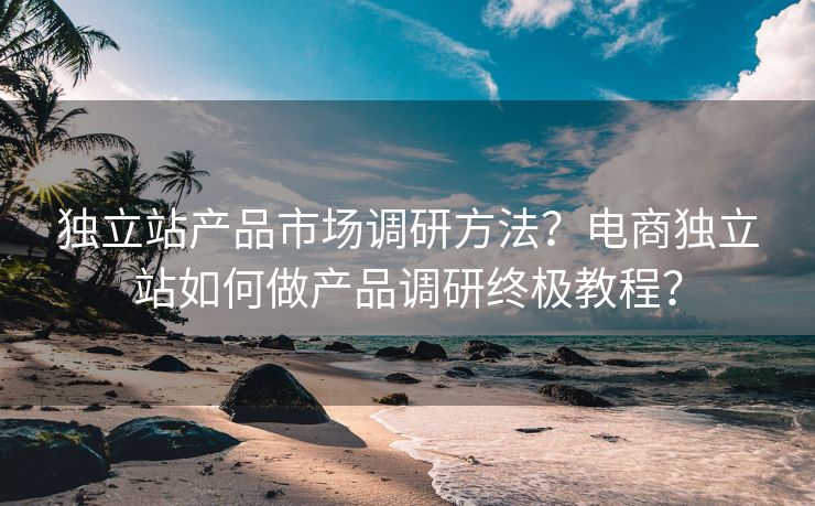 独立站产品市场调研方法？电商独立站如何做产品调研终极教程？