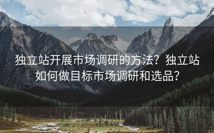 独立站开展市场调研的方法？独立站如何做目标市场调研和选品？