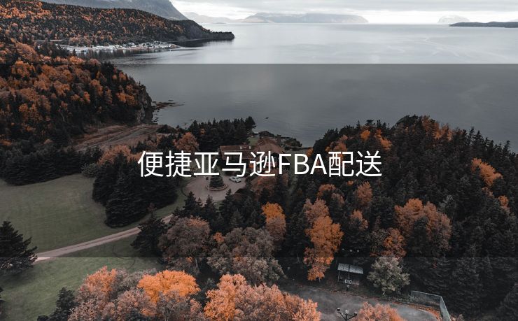 便捷亚马逊FBA配送