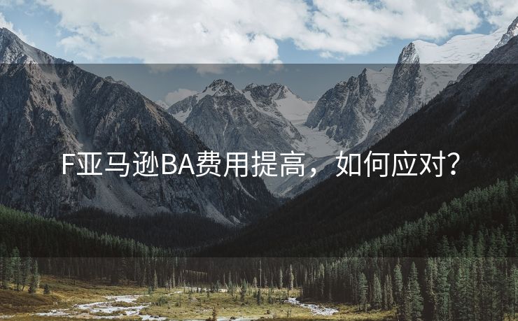 F亚马逊BA费用提高，如何应对？