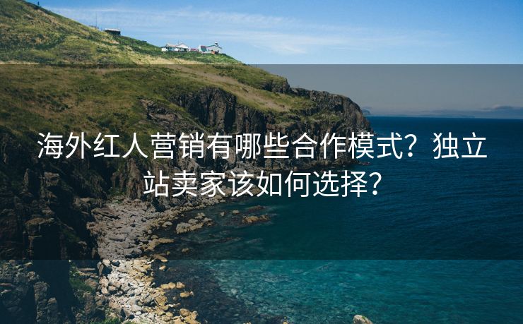 海外红人营销有哪些合作模式？独立站卖家该如何选择？