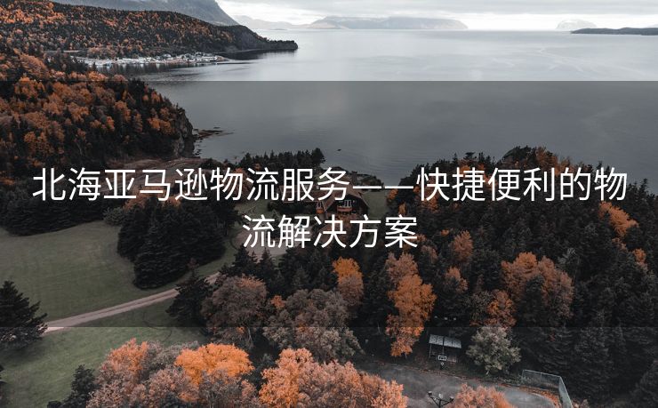 北海亚马逊物流服务——快捷便利的物流解决方案