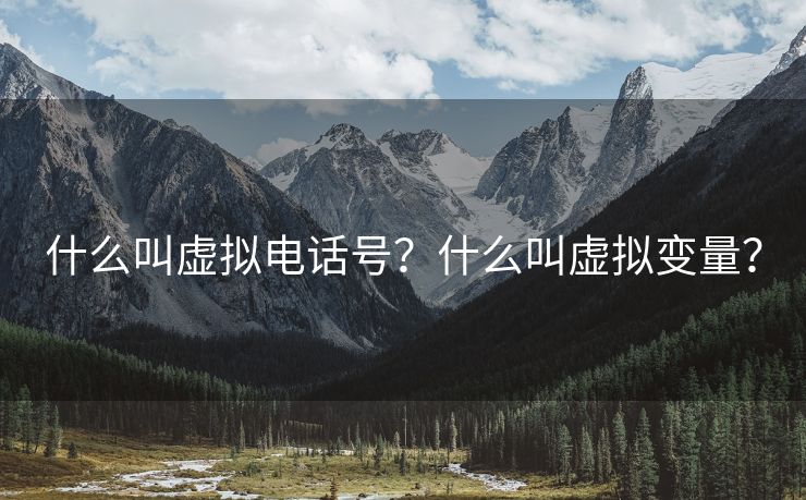 什么叫虚拟电话号？什么叫虚拟变量？