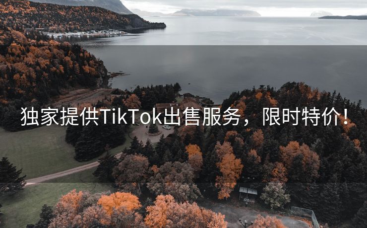 独家提供TikTok出售服务，限时特价！