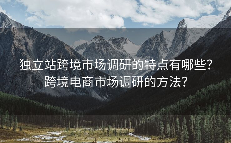 独立站跨境市场调研的特点有哪些？跨境电商市场调研的方法？